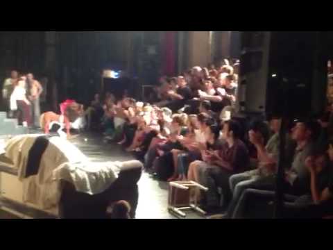 „БРОД ЗА ЛУТКЕ“ У ТЕМИШВАРУ