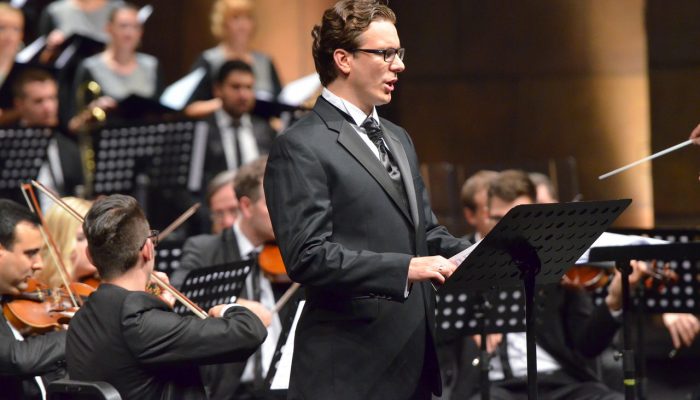 vasa-stajkic-knez-ivo-od-semberije