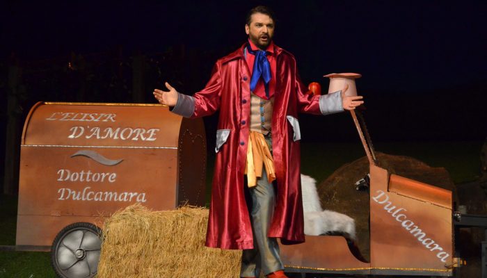 zeljko-r-andric-ljubavni-napitak