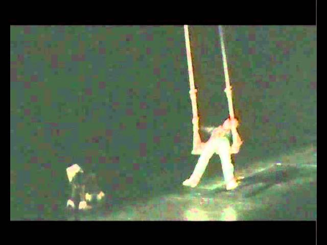 „Урнебесна трагедија“, 50. извођење